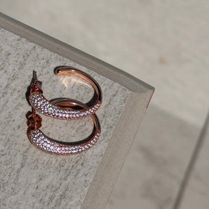 Les boucles d'oreilles de la gloire