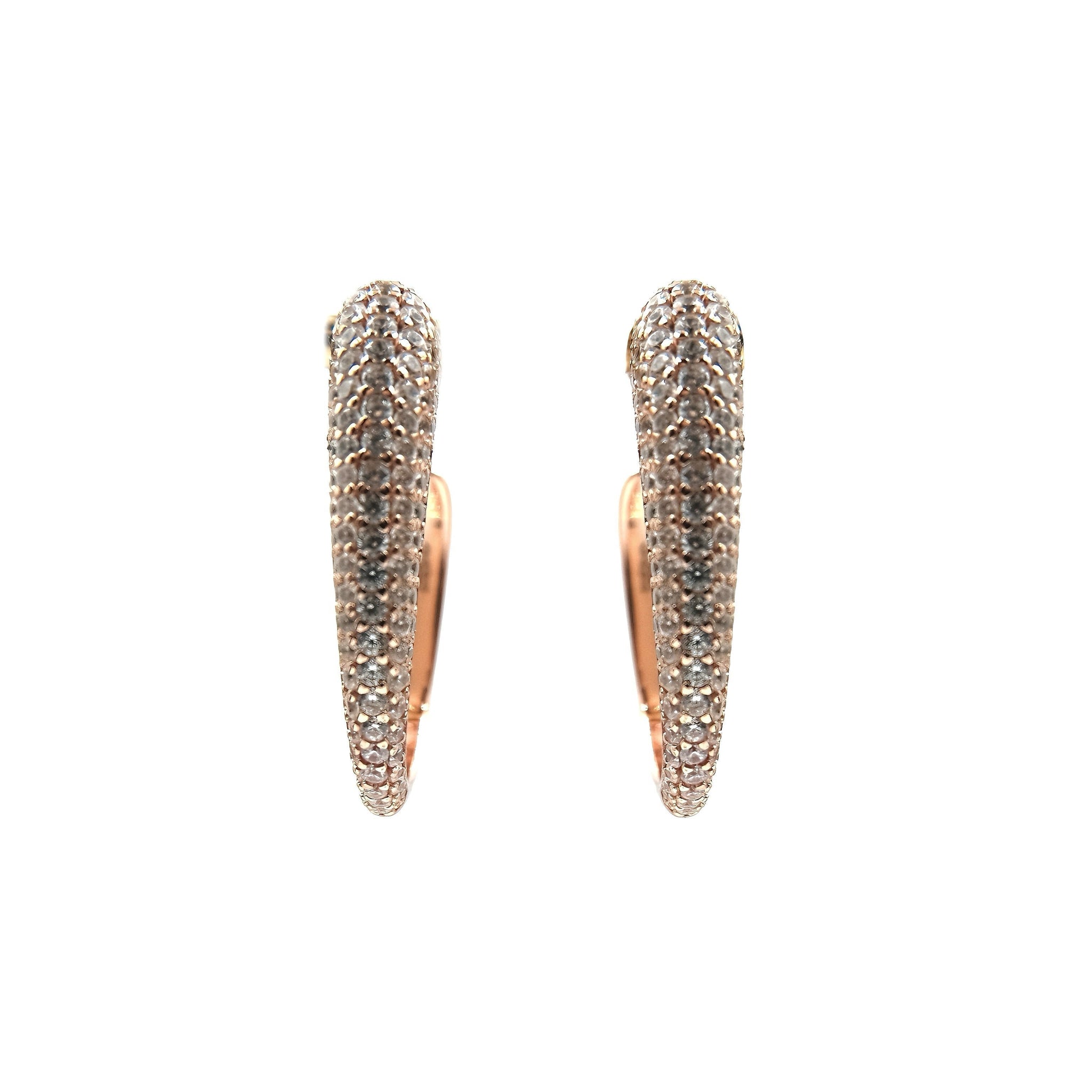 Les boucles d'oreilles de la gloire