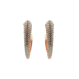 Les boucles d'oreilles de la gloire